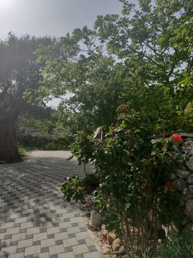 Guest House Maslina Vinišće Dış mekan fotoğraf